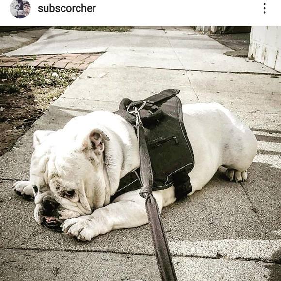 subscorcher